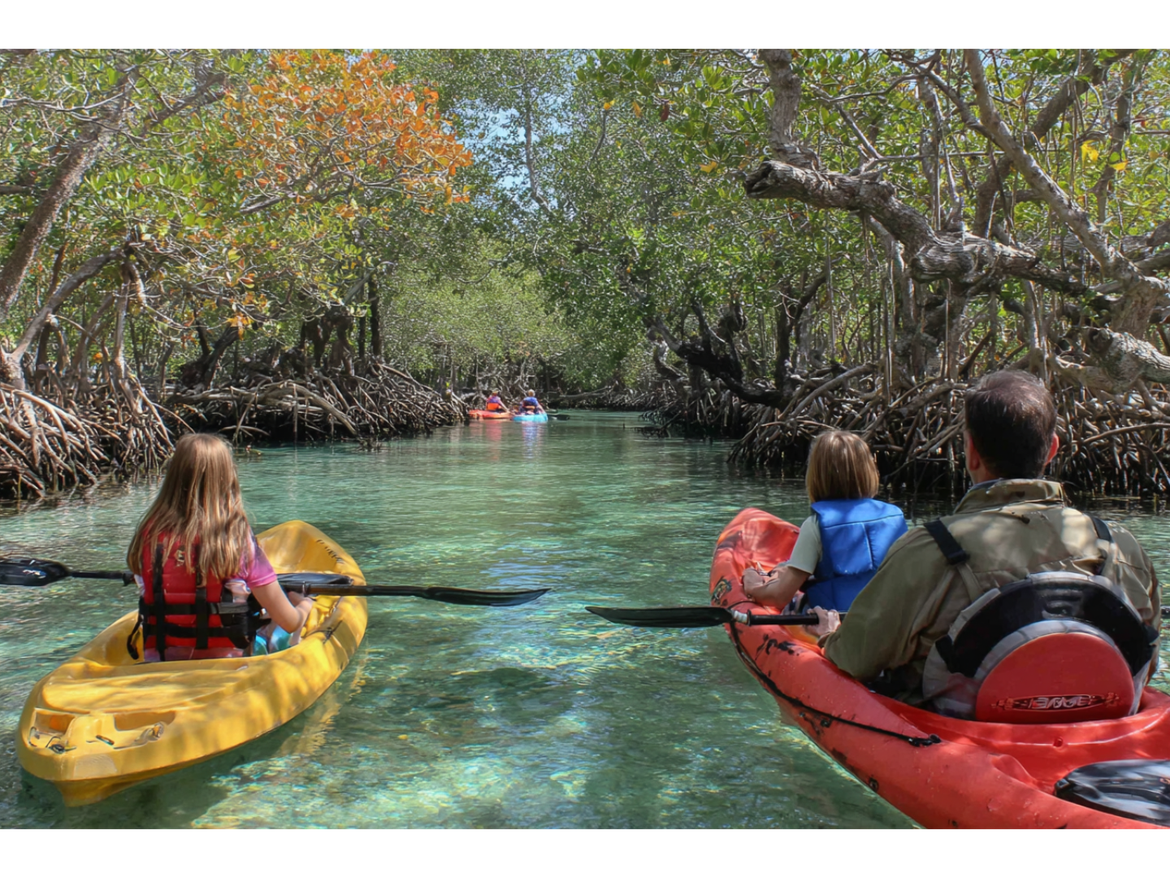 Person kayaking beneath mangrove trees in a calm, shaded Florida waterway.