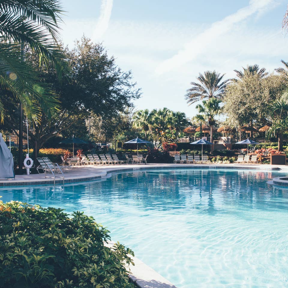 Outdoor pool surrounded by palm trees at Orange Lake Resort near Orlando, Florida.