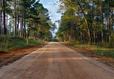 Sam Houston National Forest path near Piney Shores Resort in Conroe, Texas.
