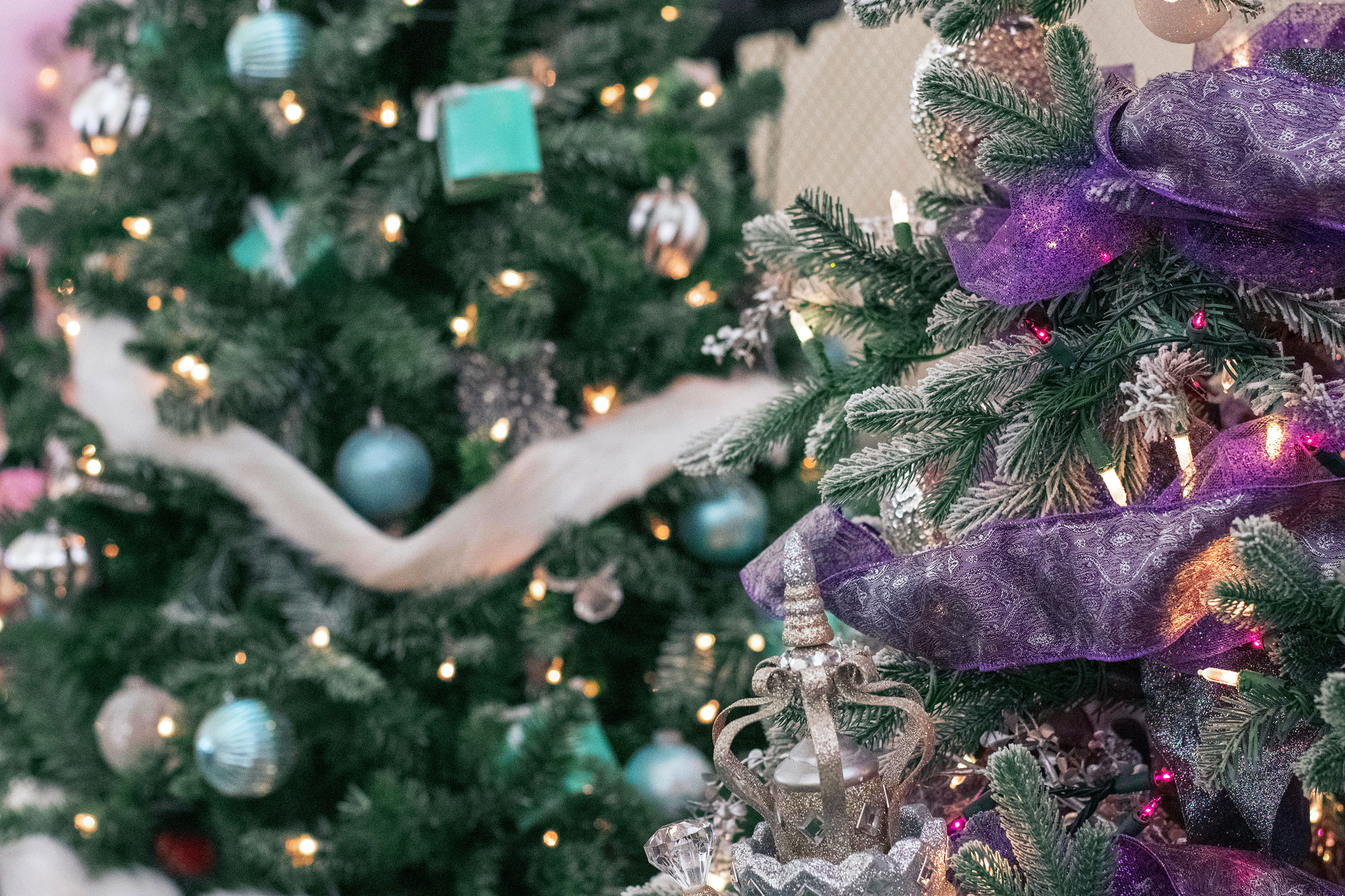 A close-up of two decorated Christmas Trees at Festival of Trees at the Berkshire Museum.