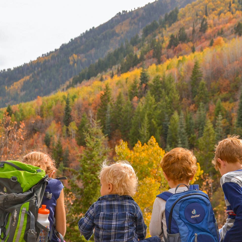 Jessica's kids sitting in front of gorgeous fall foliage and mountains in the background.