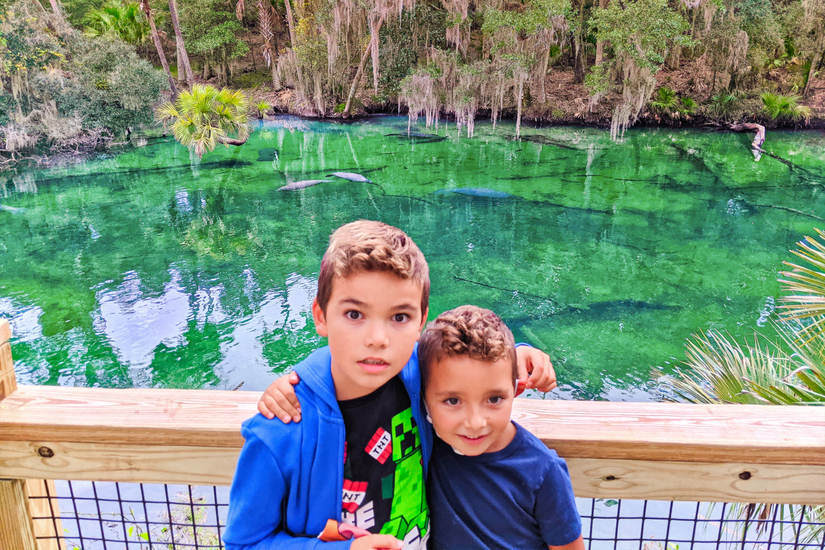 Two young boys, one with a blue hoodie and the other with a blue long-sleeve t-shirt, stand on a wooden bridge where crystal clear waters filled with manatees and fauna at Blue Spring State Park in Florida.