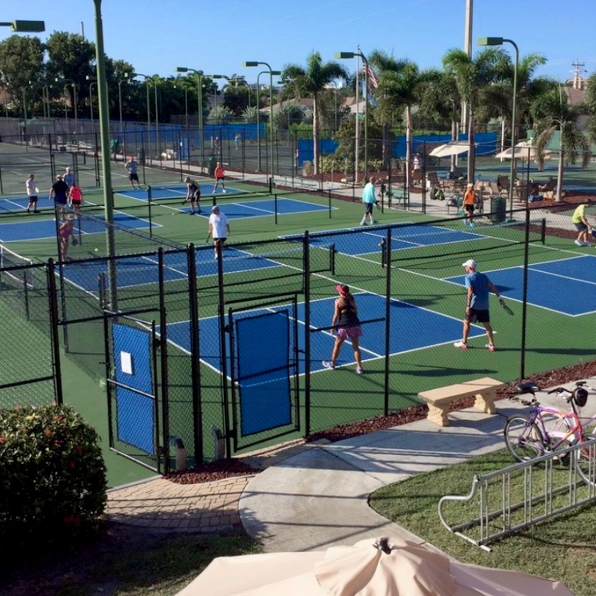 Multiple pickleball courts filled with players under a blue sky and surrounded by palm trees.