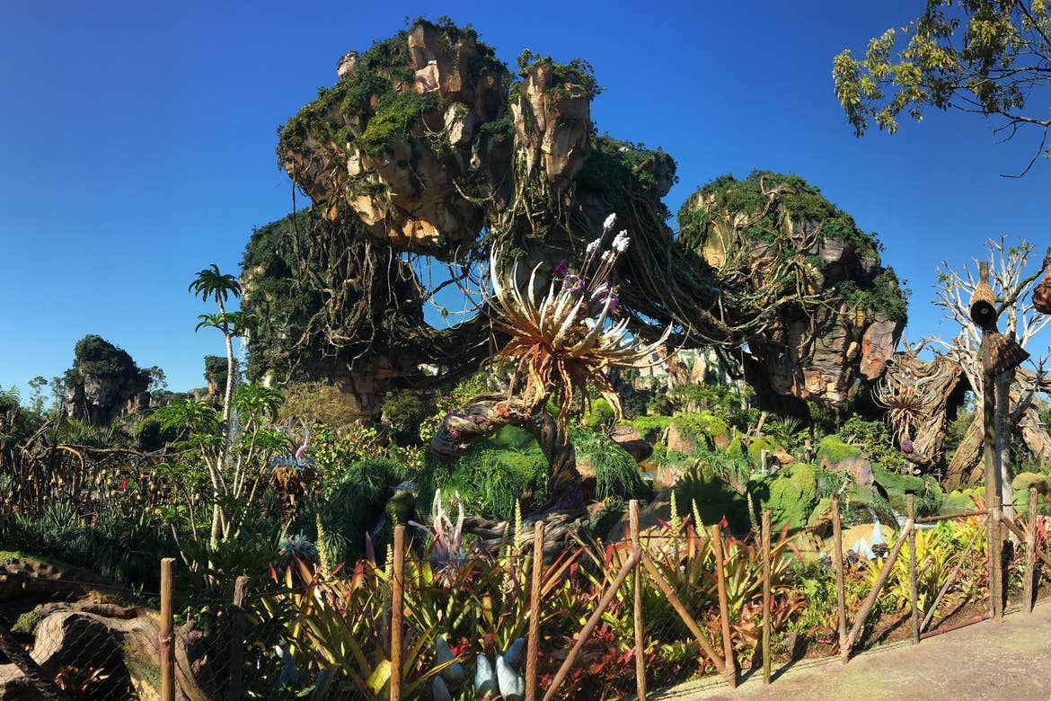 A few of the scenic 'floating mountains' and various greenery in PANDORA - World of Avatar in Disney's Animal Kingdom at Walt Disney World Resort.