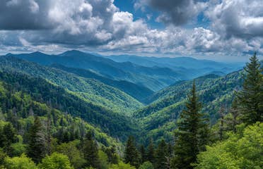 Vast landscape with lush green forests under clouds and blue sky.