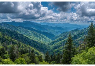 Vast landscape with lush green forests under clouds and blue sky.