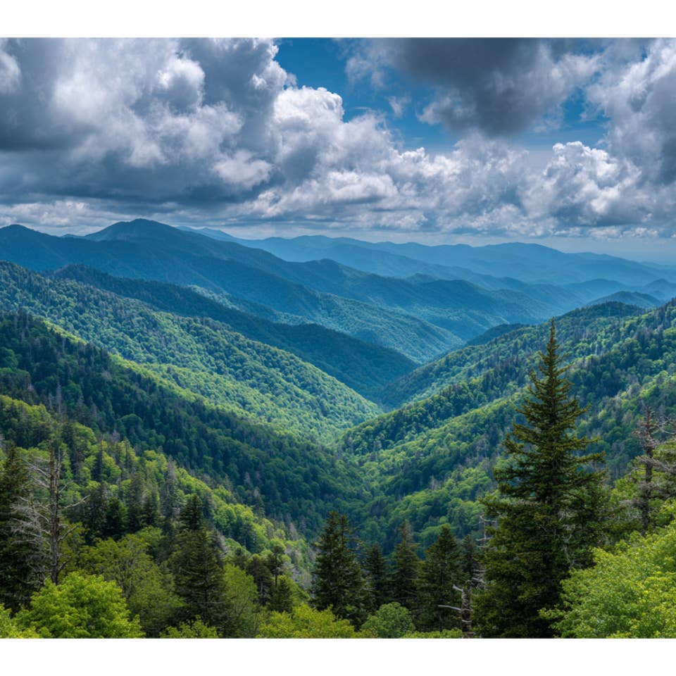 Vast landscape with lush green forests under clouds and blue sky.