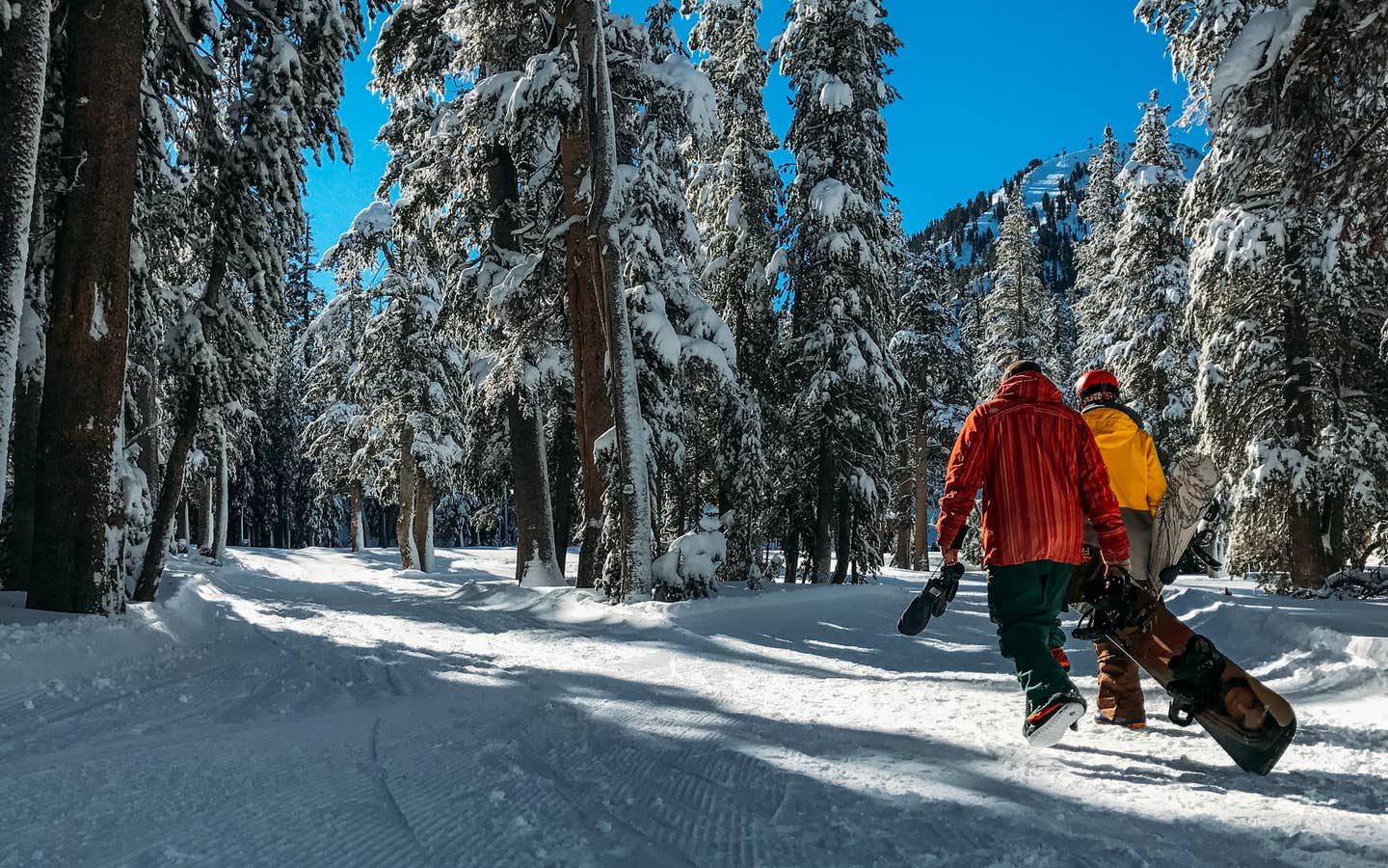 Two men walk a snow-covered trail in a pine tree forest wearing snowboarding gear and carrying snowboards.