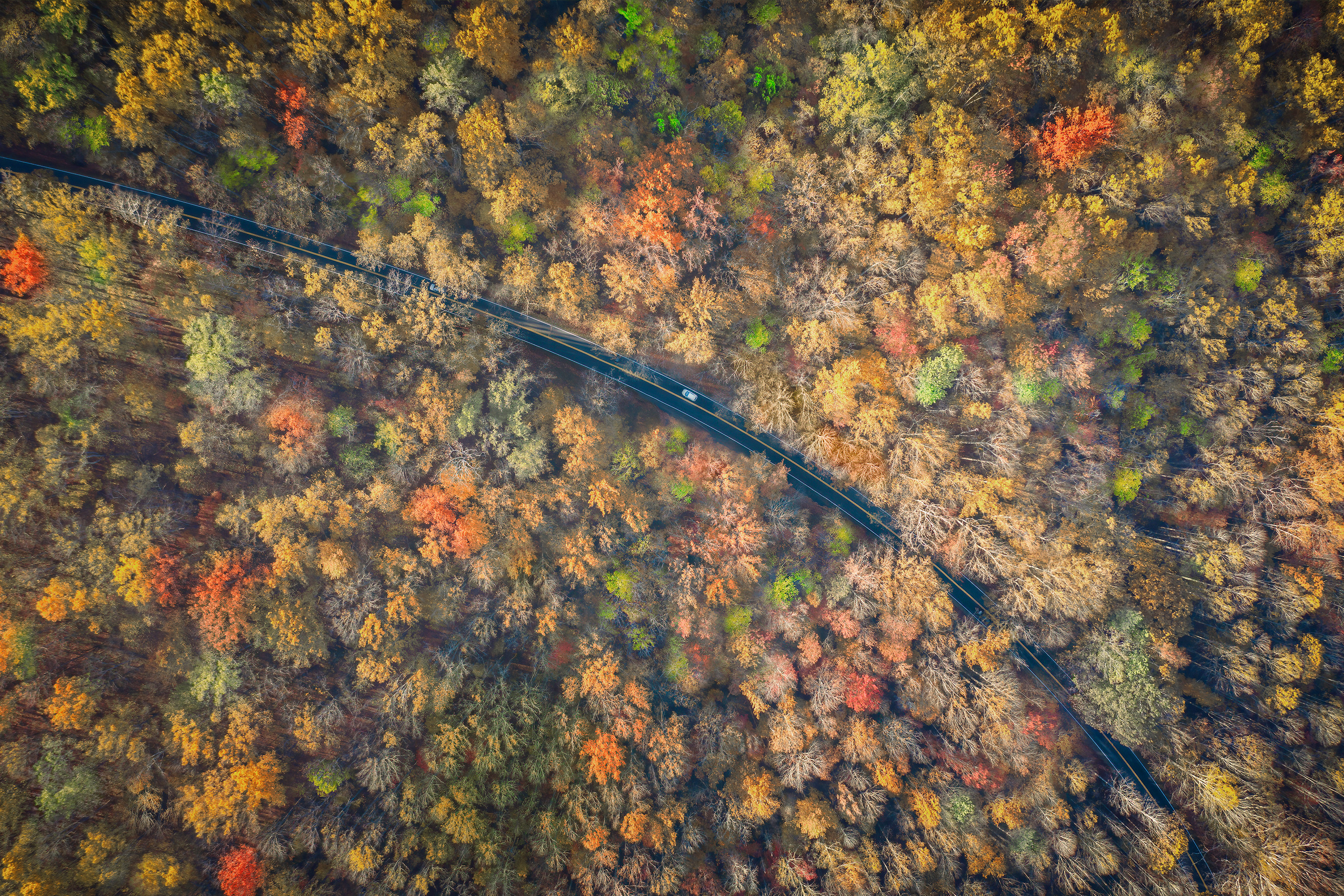 An aerial view of the Newfound Gap Road in the fall foliage