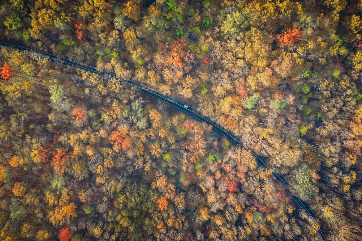 An aerial view of the Newfound Gap Road in the fall foliage