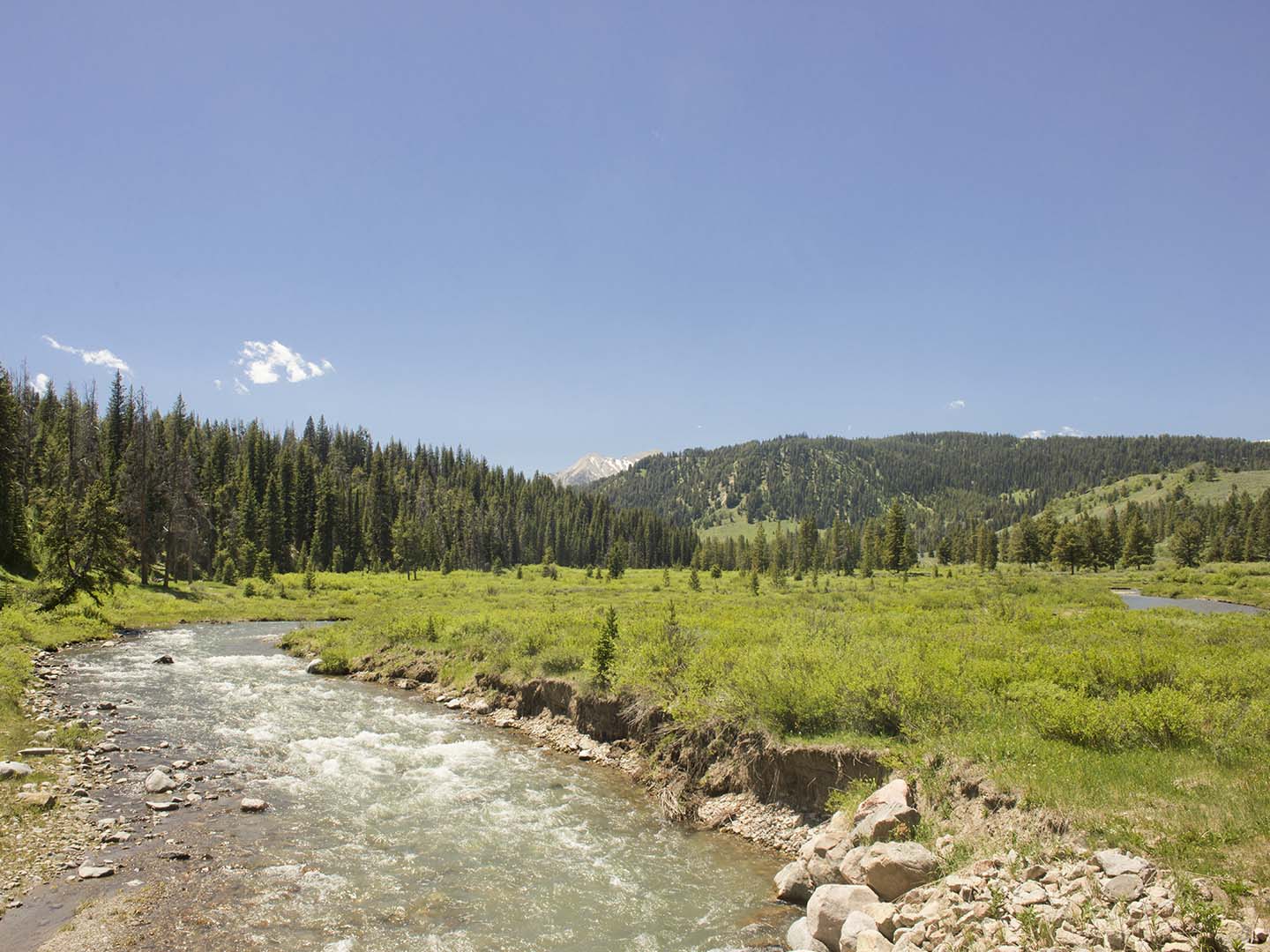 exterior view of Taylor Creek Visitor Center near Tahoe Ridge Resort in Stateline, NV.