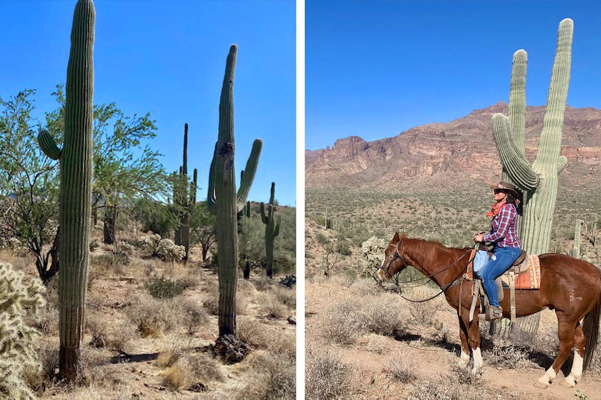 Left: The natural flora of the Red Canyon, cacti. Right: Noemi sits on a horse at Red Canyon.