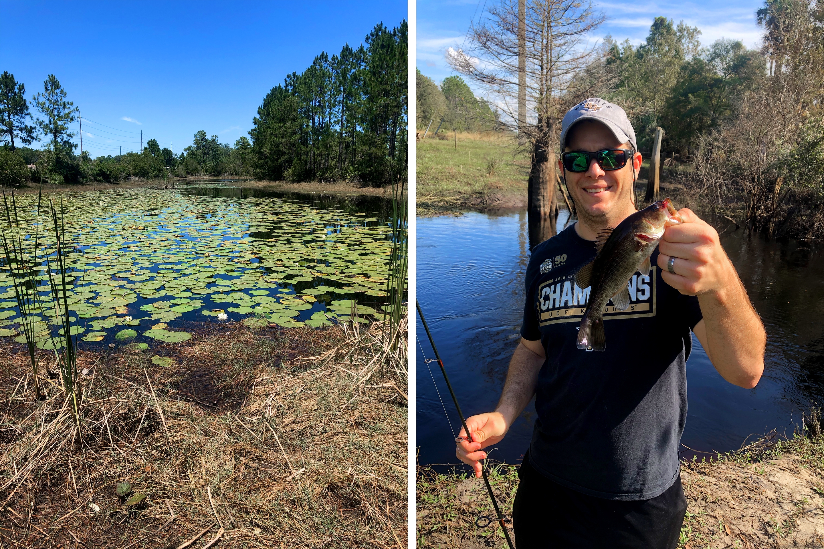 Left: A pond filled with green lily pads and surrounded by trees under a blue sky. Right: A man wears a dark short sleeve t-shirt, baseball cap and sunglasses while holding a fish and fishing pole near a pond.