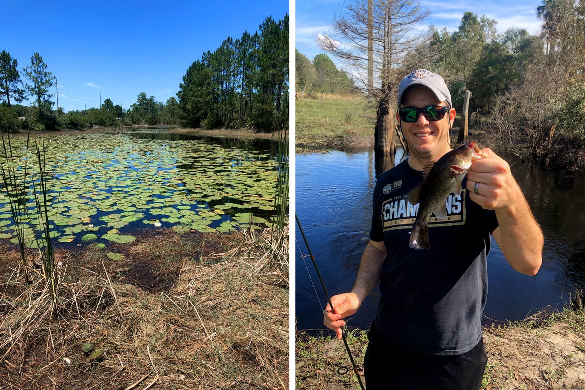 Left: A pond filled with green lily pads and surrounded by trees under a blue sky. Right: A man wears a dark short sleeve t-shirt, baseball cap and sunglasses while holding a fish and fishing pole near a pond.