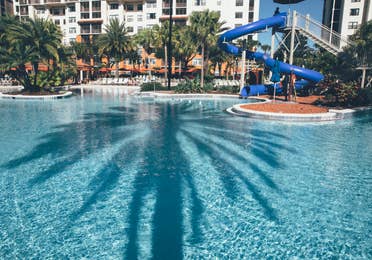 Pool with shadow of palm tree and water slide in background in River Island at Orange Lake Resort near Orlando, Florida
