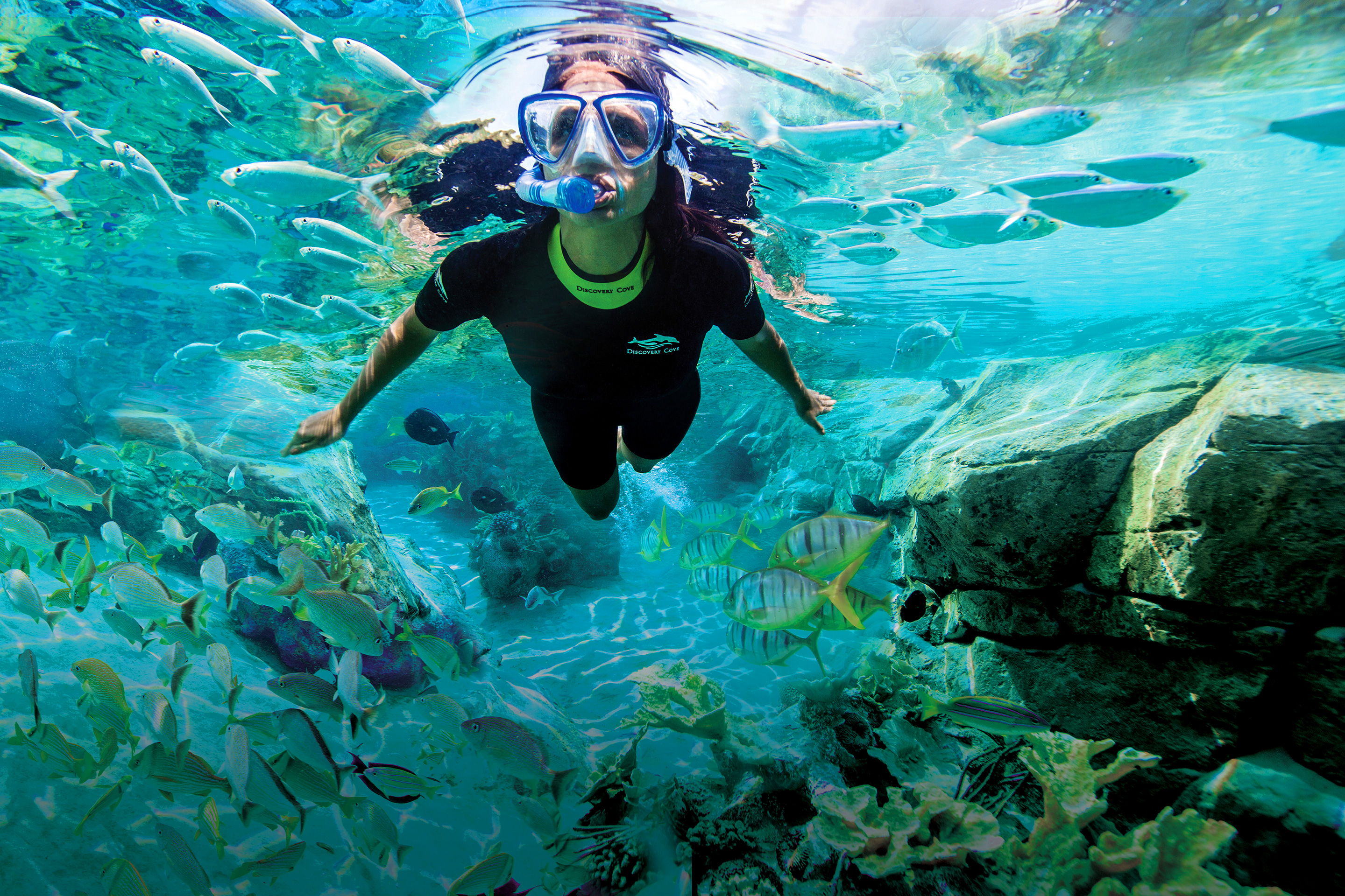 A woman snorkels among the aquatic life wearing a wetsuit.