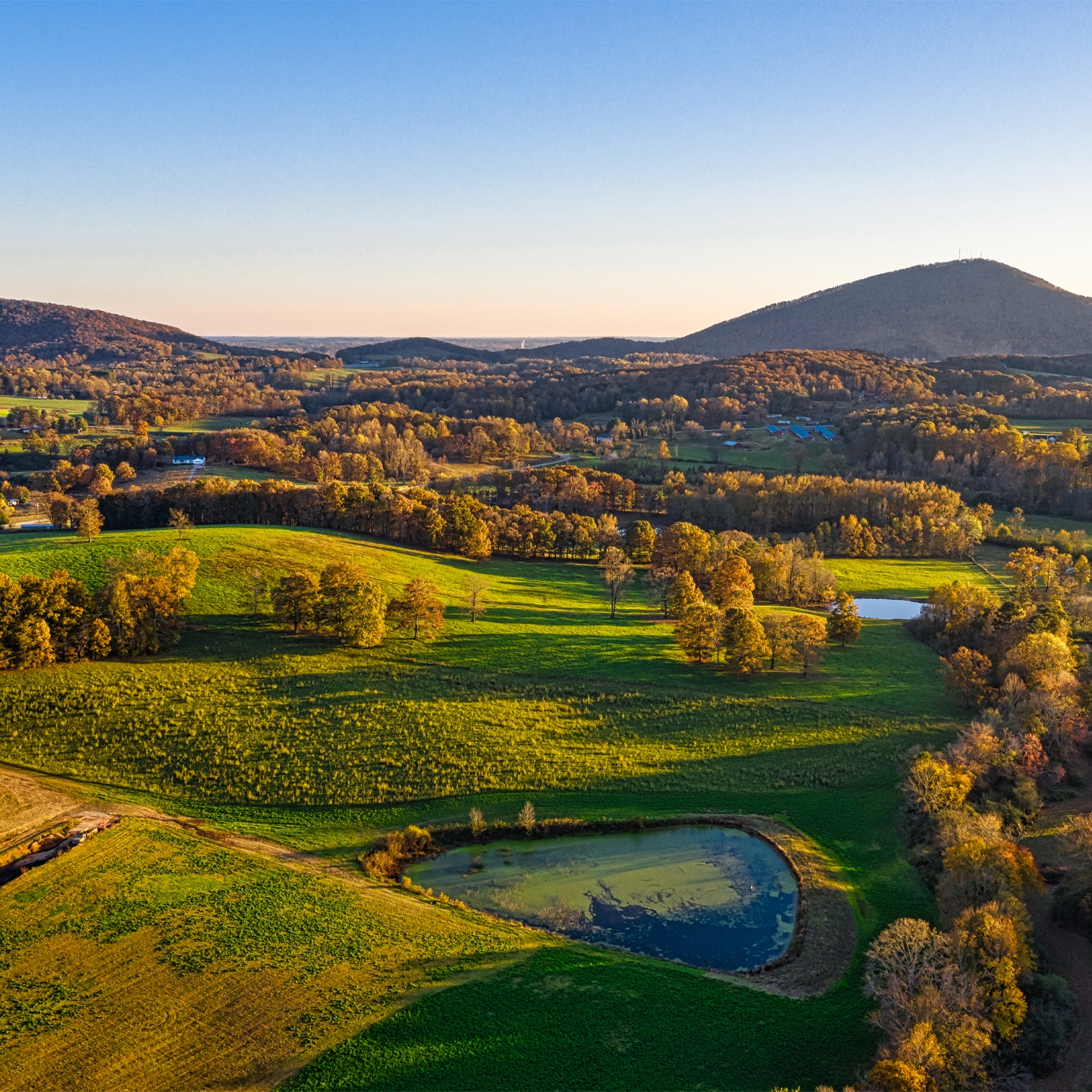 Local Things to Do Near Apple Mountain Resort at Clarkesville