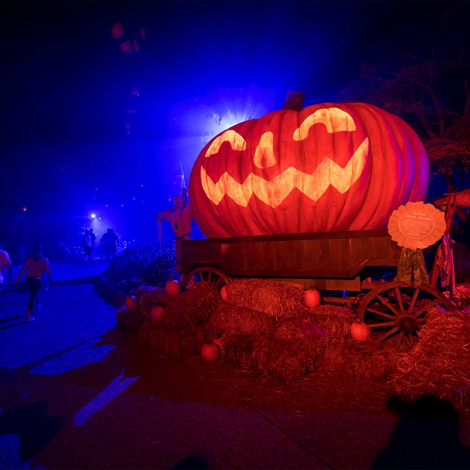 An oversized Jack O' Lantern sits on bales of hay at night.