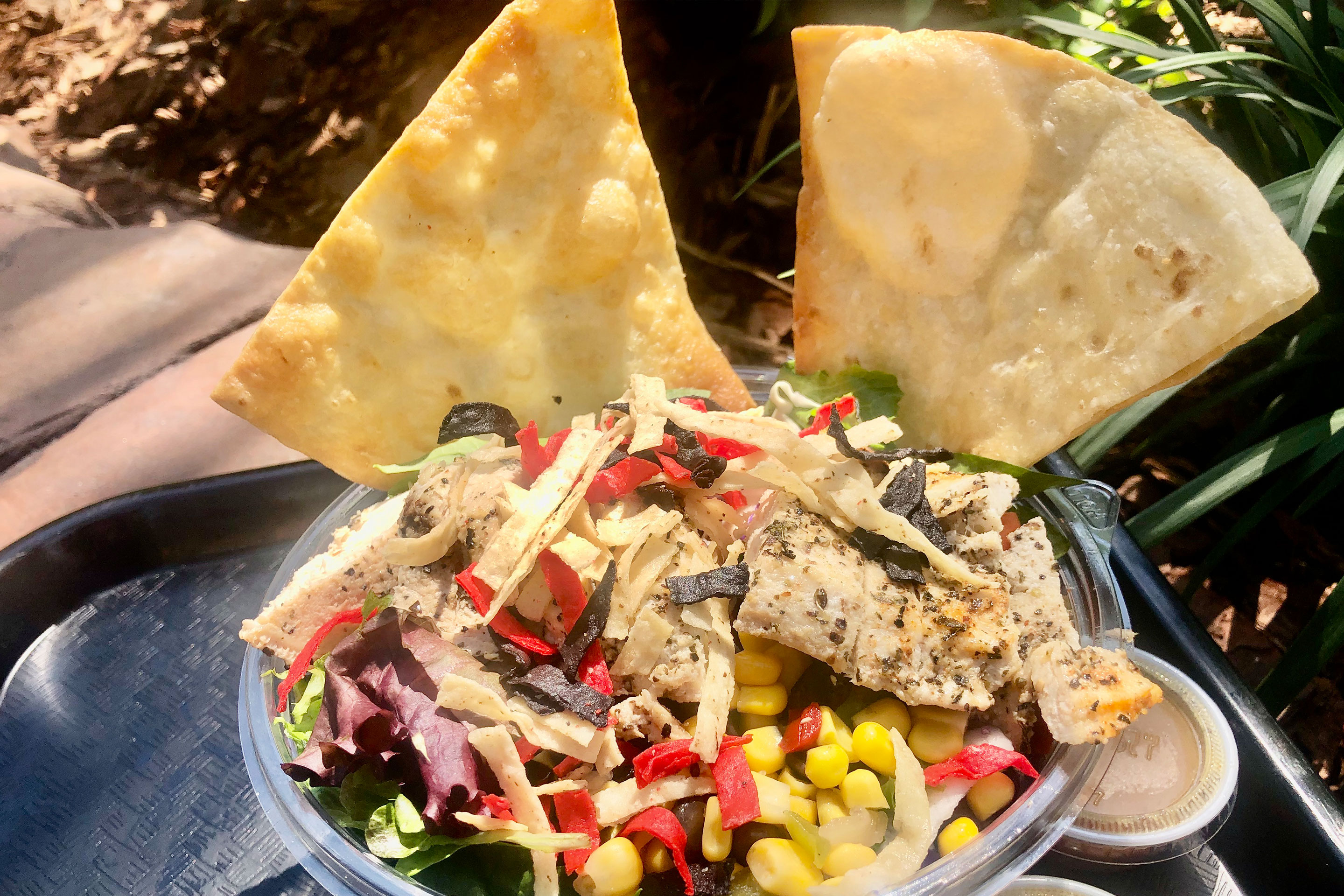 Rona's tasty entree salad that she ordered via mobile order.