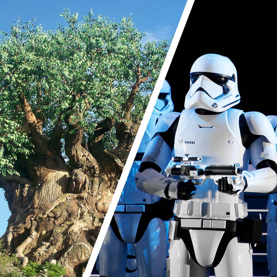 Left: The Tree of Life at Disney's Animal Kingdom Theme Park. Right: Storm Troopers stand at Disney's Hollywood Studios at Star Wars: Rise fo the Resistance.