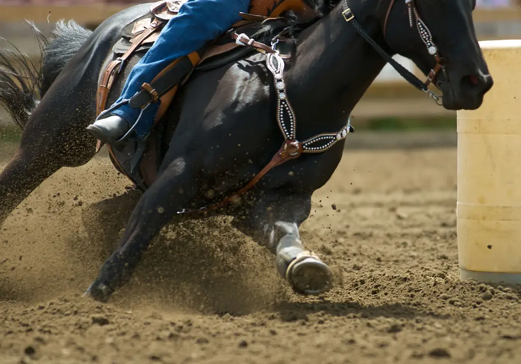 Vip Pass Rodeo Explore VIP Experiences | HolidayInnClub.com
