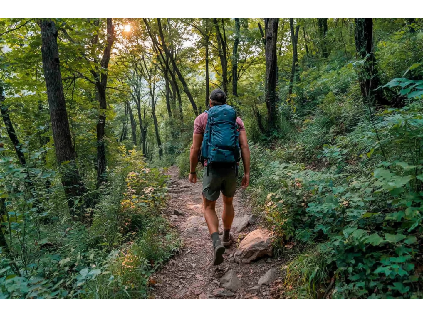 Picture of man hiking through a dense forest trail in Lake Geneva.