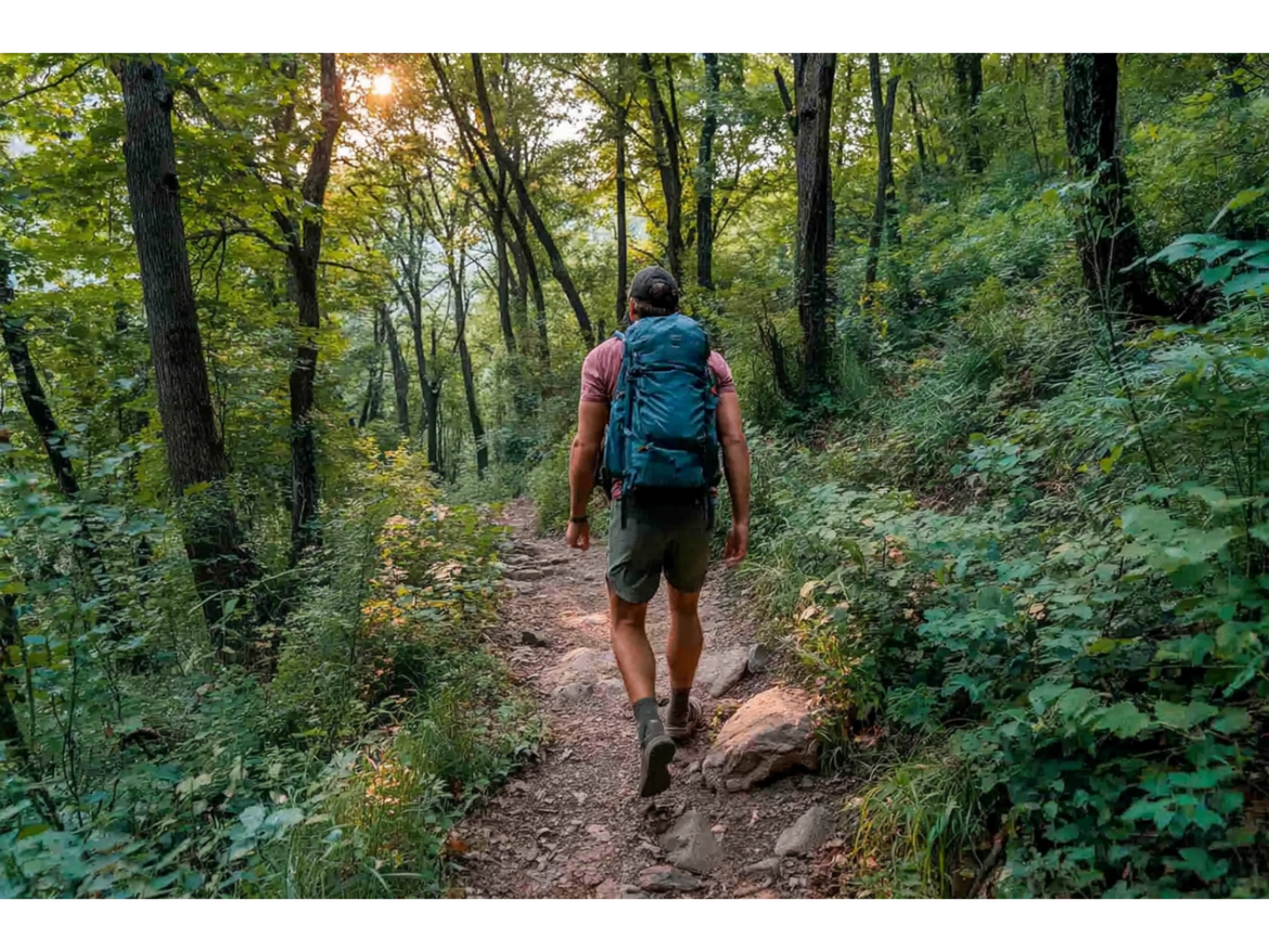 Picture of man hiking through a dense forest trail in Lake Geneva.