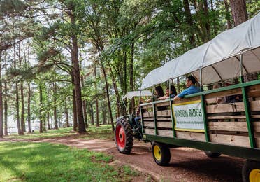 Family on outdoor wagon ride at Villages Resort in Flint, Texas.