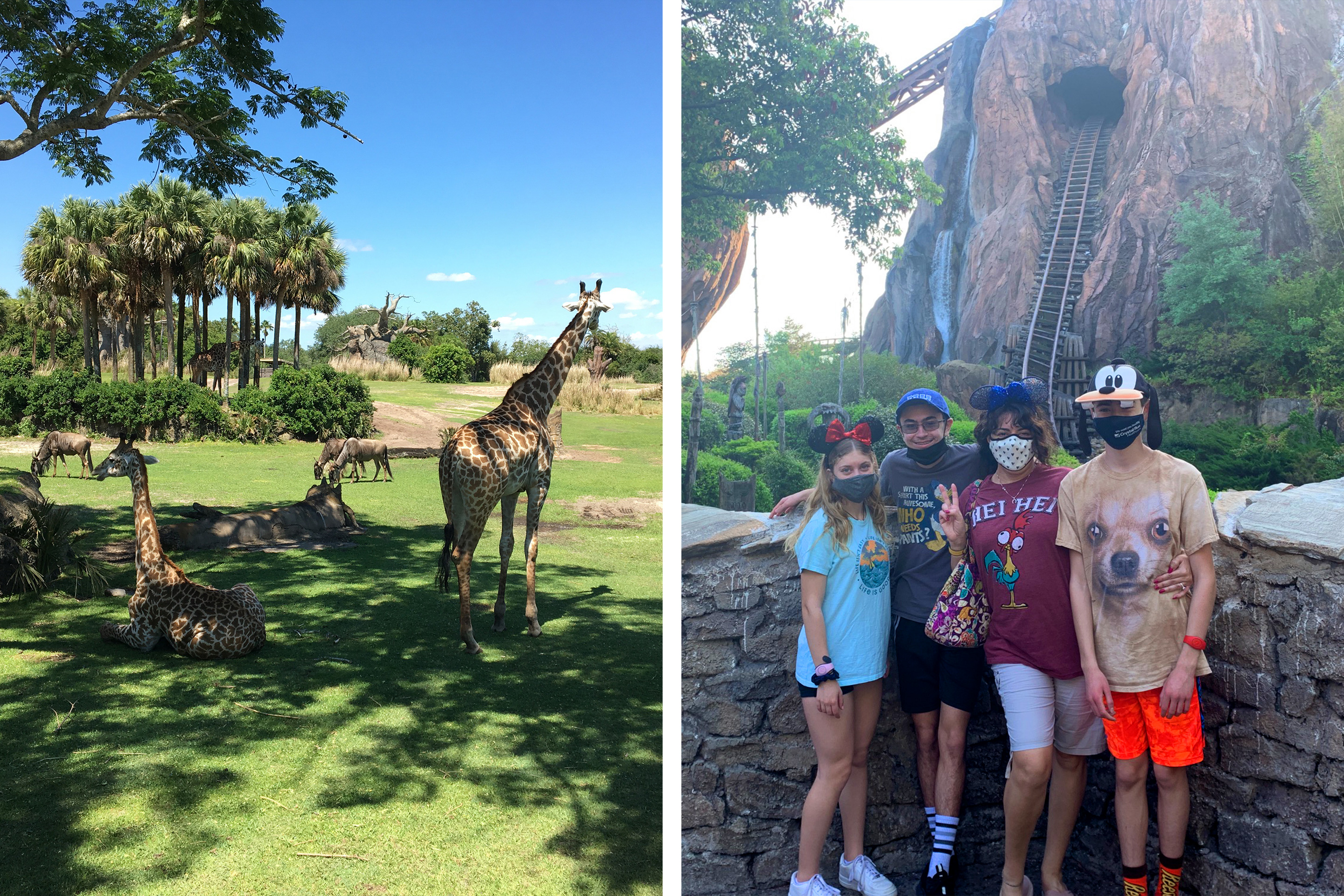 Left: Giraffes take a rest in the shade during the Kilimanjaro Safari in Disney's Animal Kingdom. Right: A woman (middle-right) wears Minnie Ears with two boys (left and right) and a girl (far-left) in front of Expedition Everest.