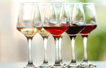 Glasses of wine filled with different kinds of wine