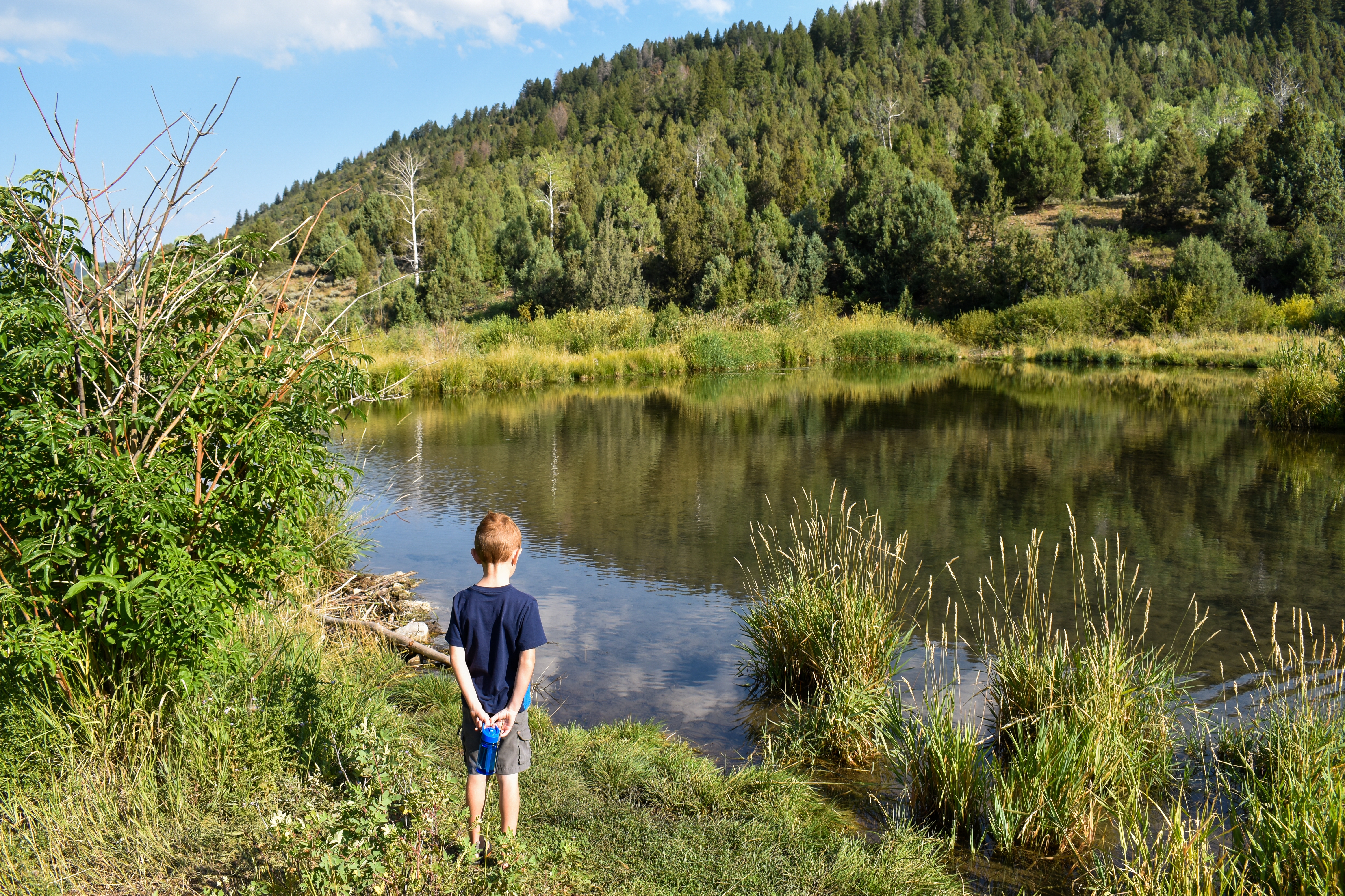 Jessica's son looking down at the lake with towering forests in the background