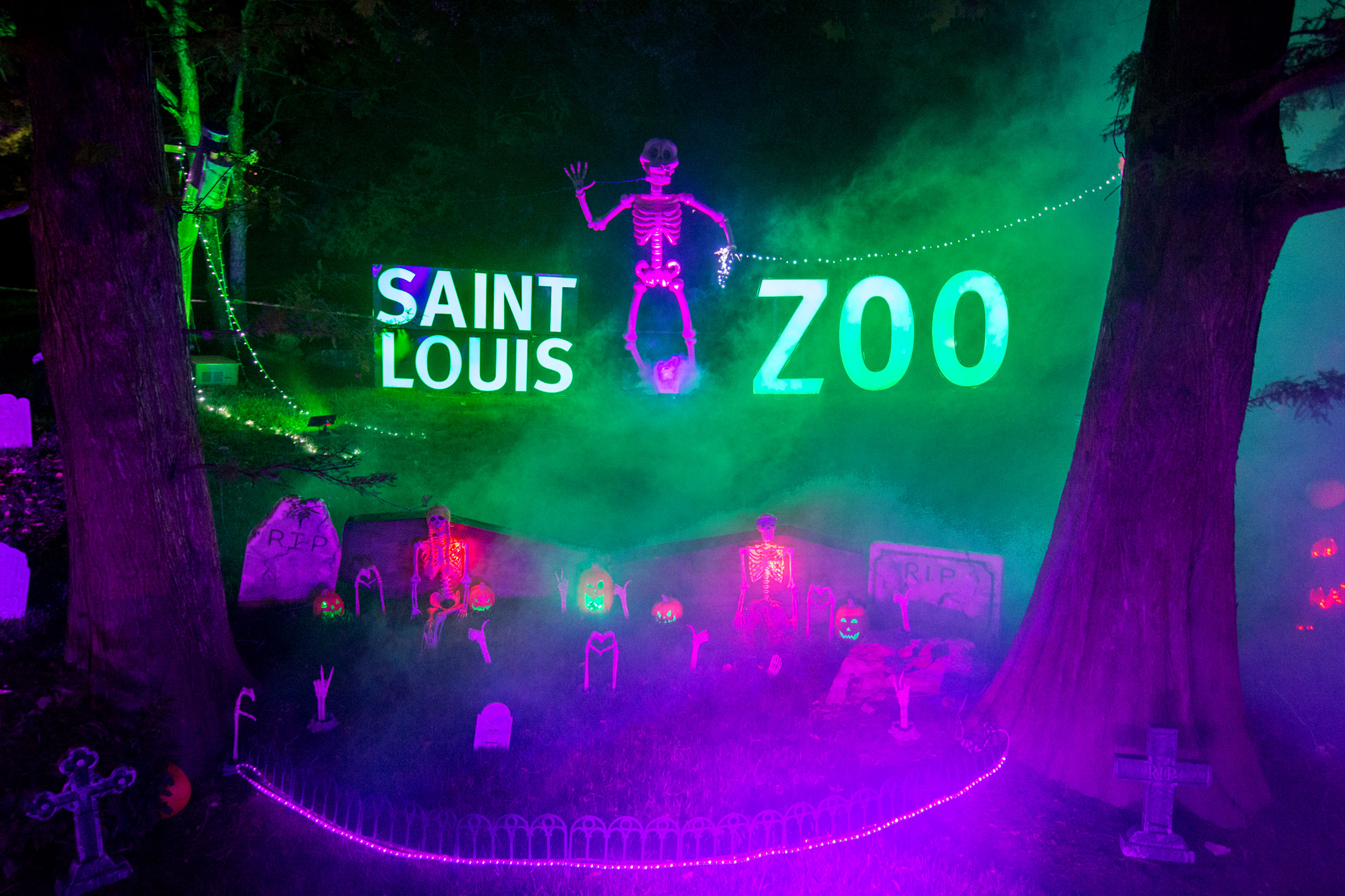 An outdoor Halloween display.