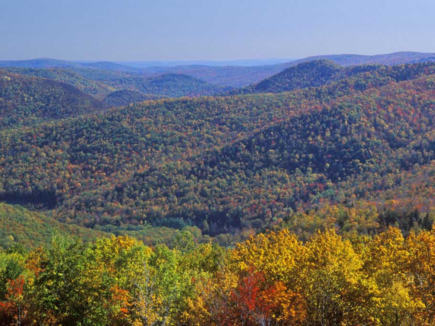 mountains during fall