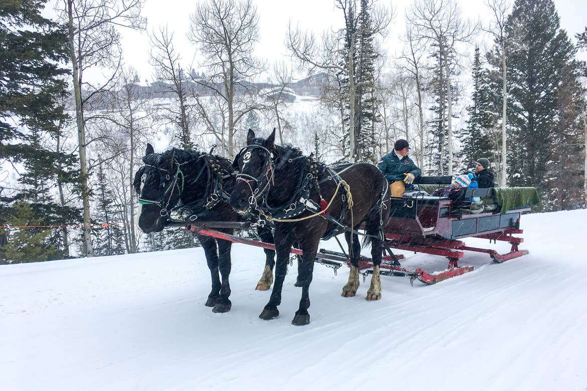 Jessica's family boards a two-horse open sleigh through the winter landscape as snowflakes fall.