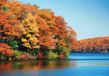 A lake surrounded by trees covered in fall colors near Mount Ascutney Resort