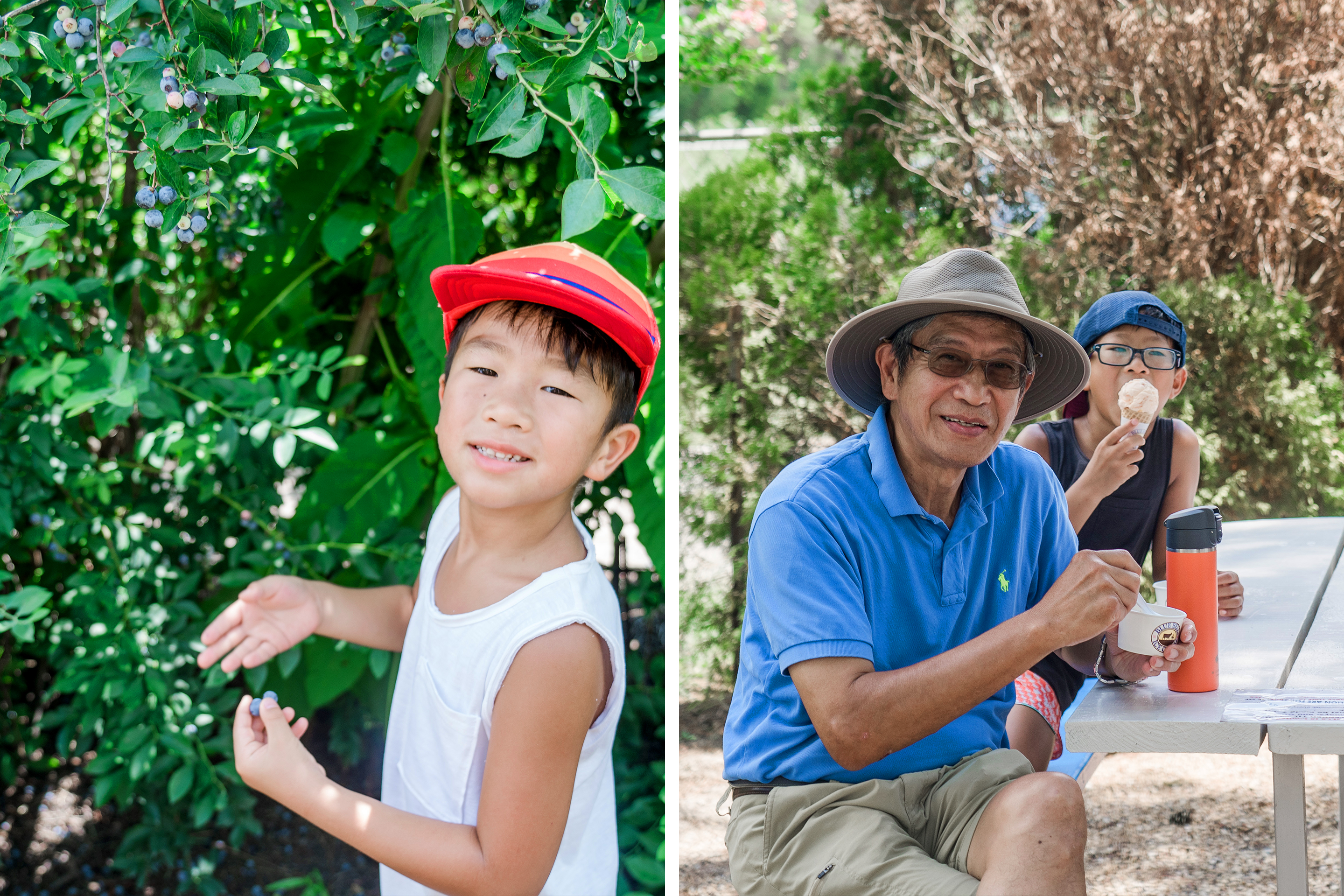 Left: A young Asian boy wearing a red baseball cap and white tank top picks blueberries at a farm. Right: An older Asian man (left) wearing a blue polo and sunhat enjoys some ice cream with a young Asian boy (right).