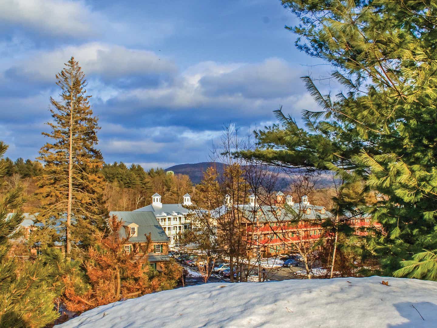 Oak n Spruce view from Snowy Hill
