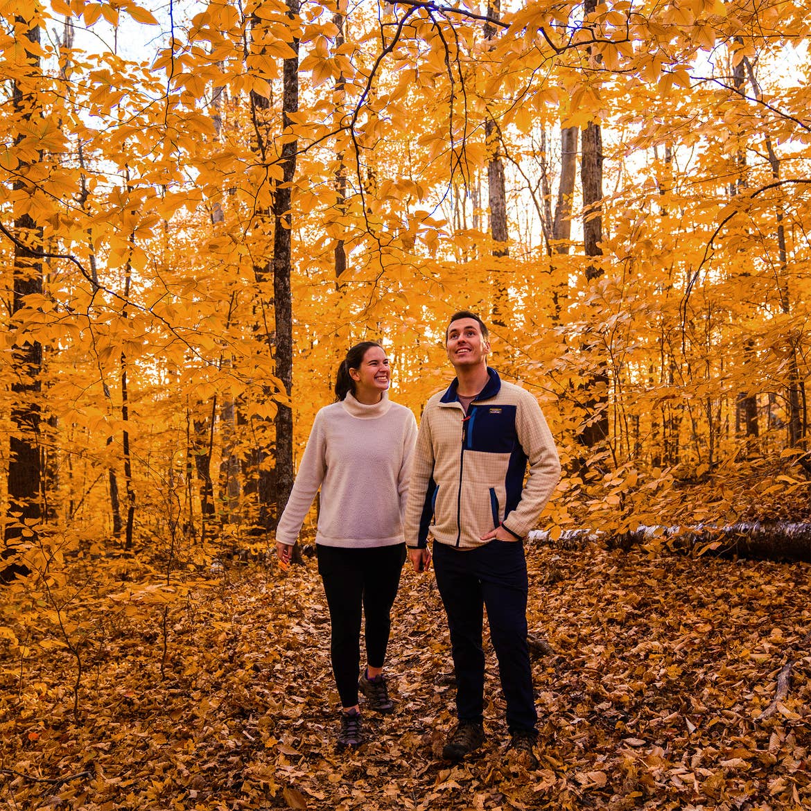A woman (left) and man (right) wearing white sweaters and pullovers with black pants stand in the middle of trees with yellow fall foliage.