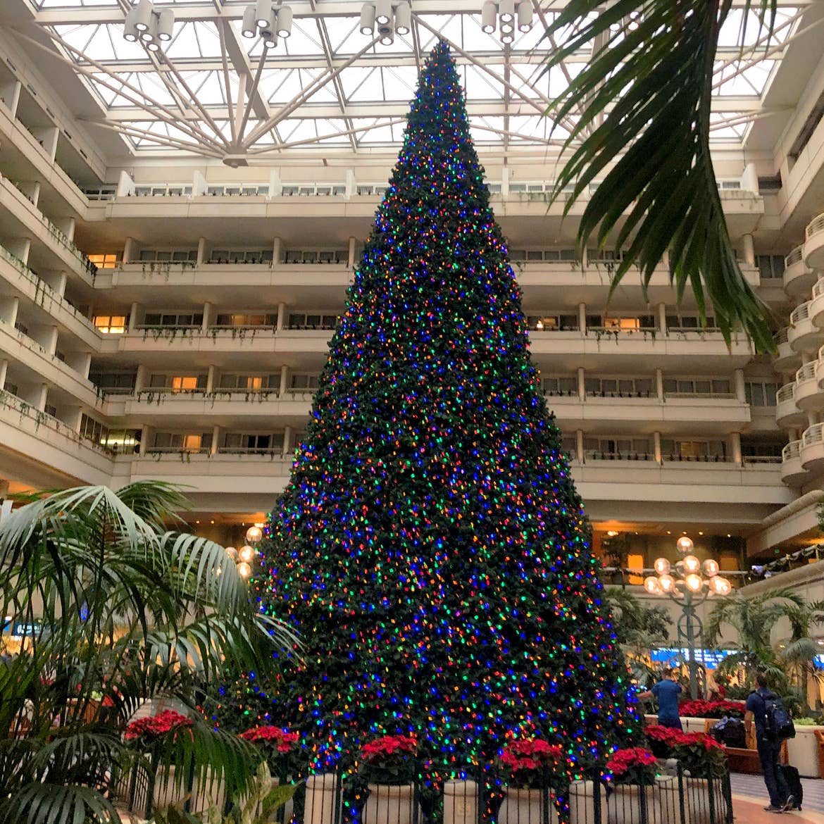 The terminal at MCO airport is decked out for the holiday season with a giant Christmas tree.