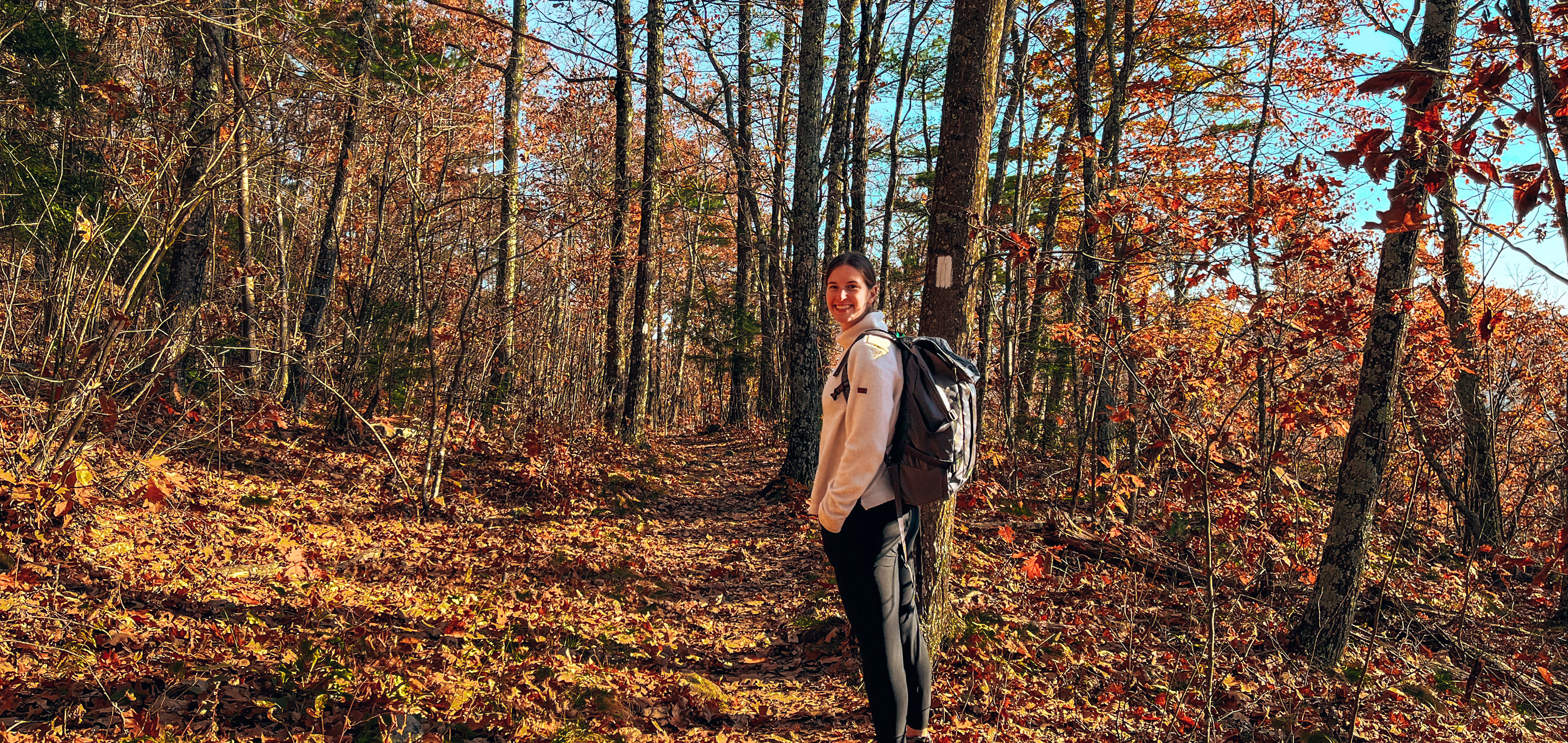 Young man with brown backpack exploring nature in spring, walking