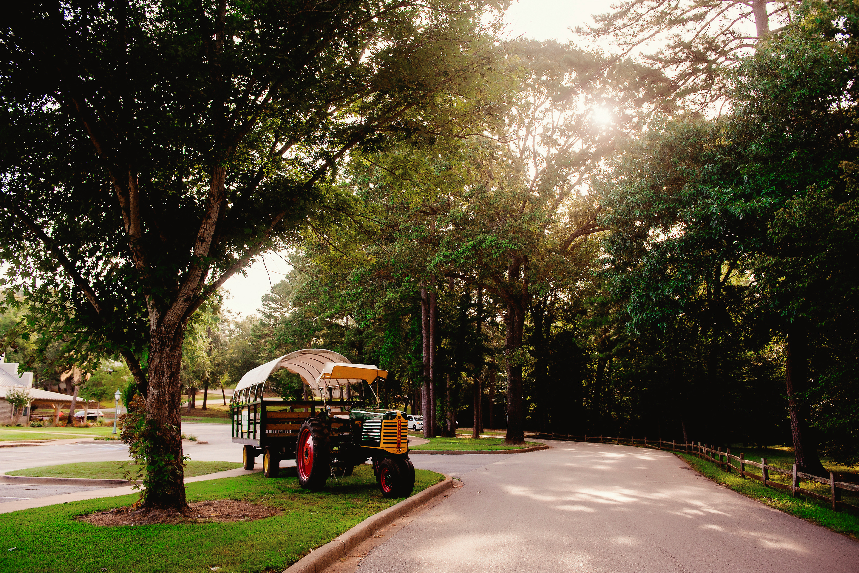A tractor parked under trees as the sun sets.