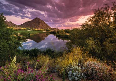 Sun setting over a beautiful view of a golf course, mountains, and lush desert flora in Arizona