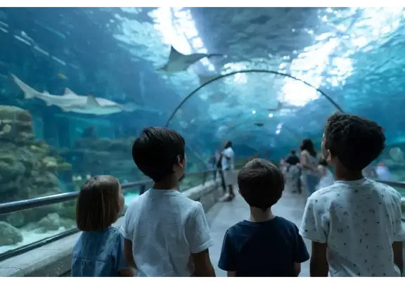 Children exploring marine life at OdySea Aquarium in Scottsdale Arizona.