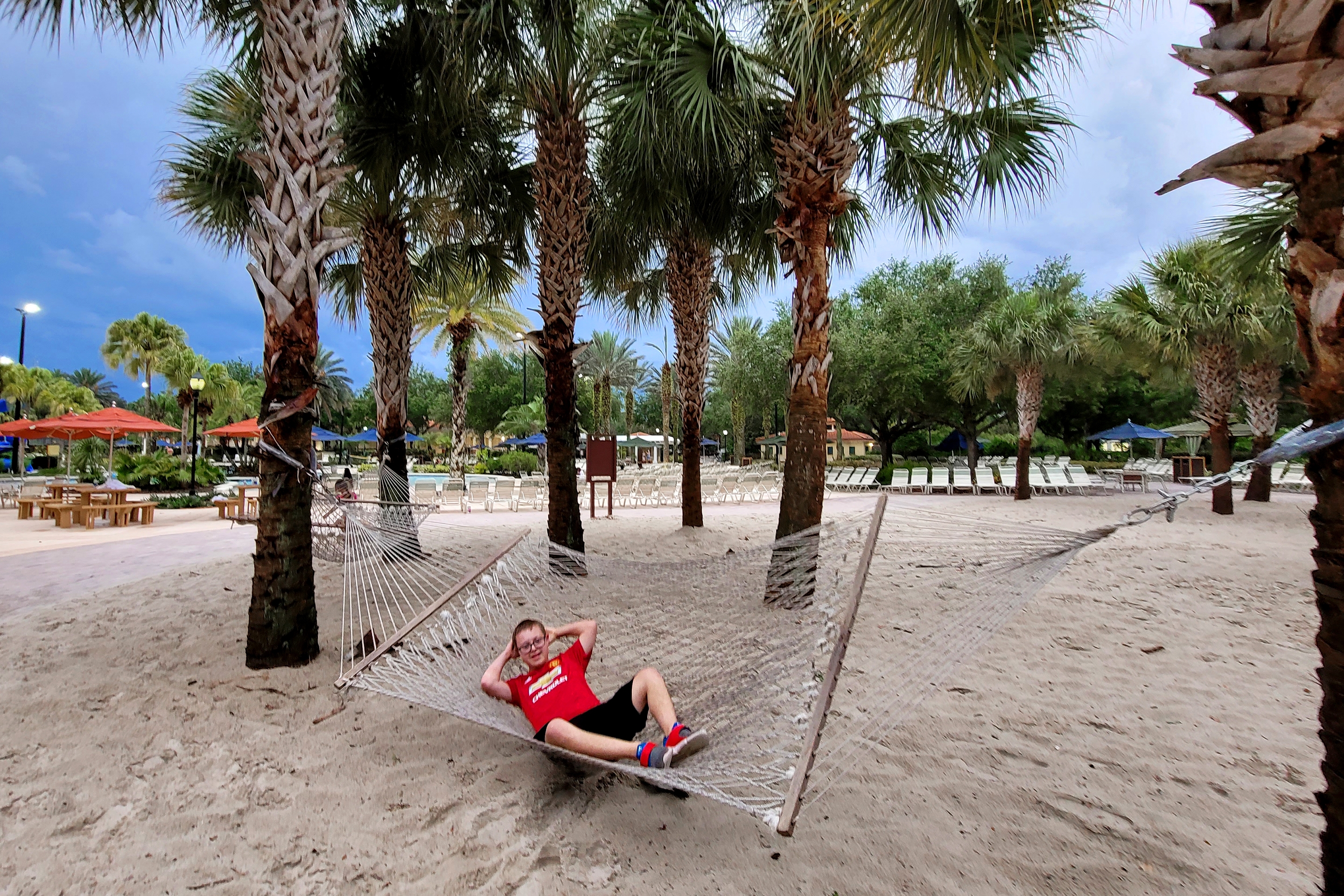 A young boy sits on a hammock under palm trees.