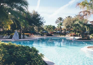 Pool with sun chairs surrounded by palm trees in River Island at Orange Lake Resort near Orlando, Florida.