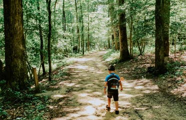 Angelica's son hiking through a wooded nature trail with his backpack on.
