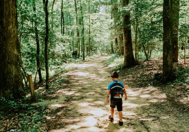 Angelica's son hiking through a wooded nature trail with his backpack on.
