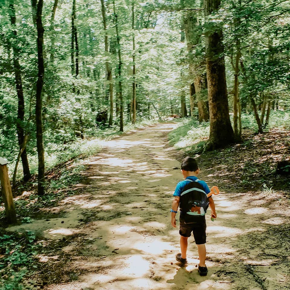 Angelica's son hiking through a wooded nature trail with his backpack on.