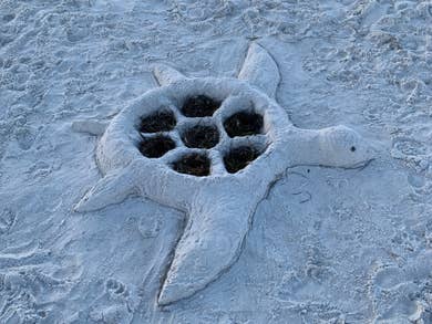 Turtle nesting area shaped like a turtle on Tigertail Beach in Marco Island