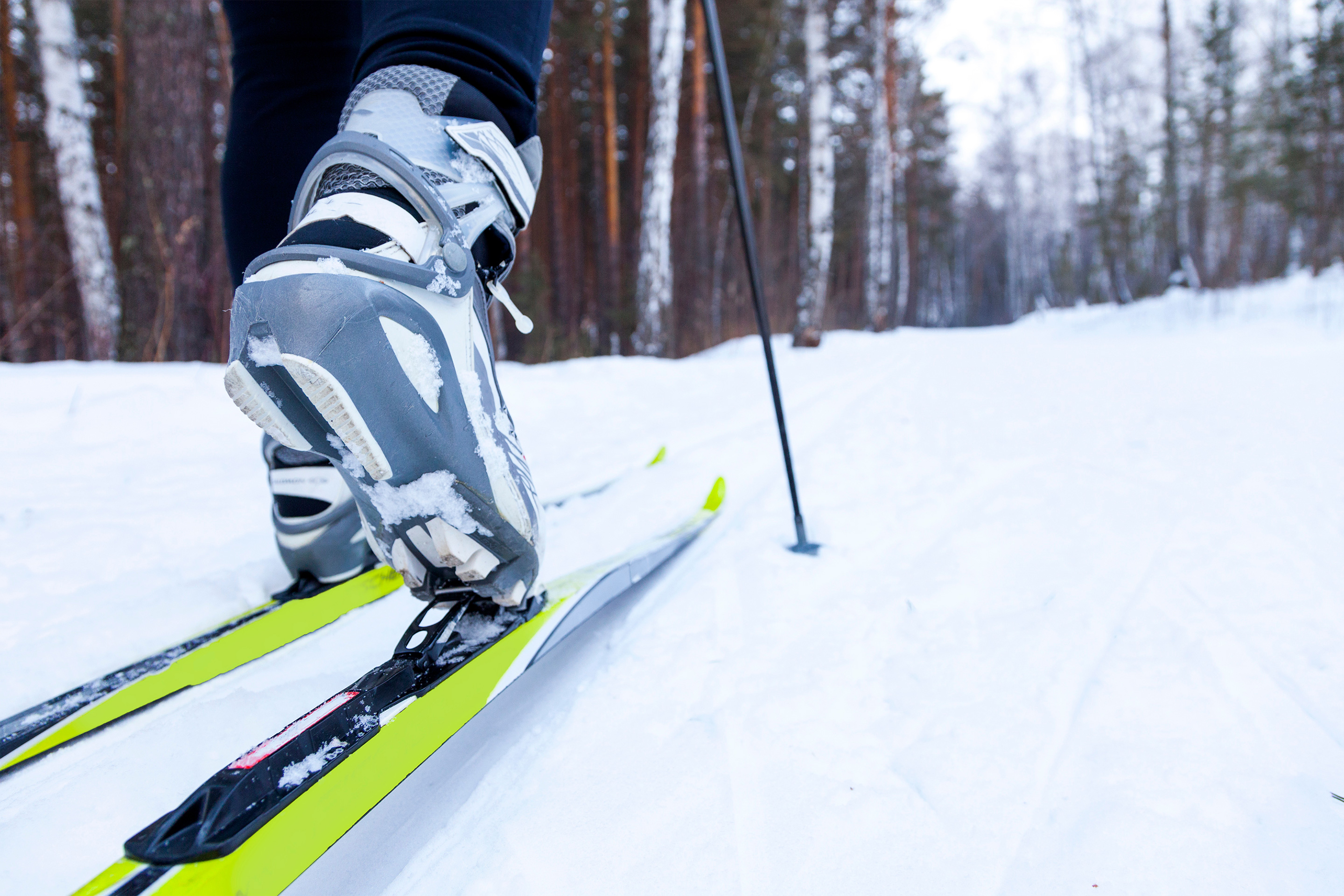 A person wearing grey, white and lime green Cross-Country Skiing gear outdoors.